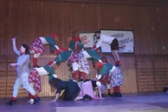DSCI0914